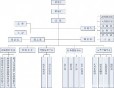 寅鼎集团组织架构